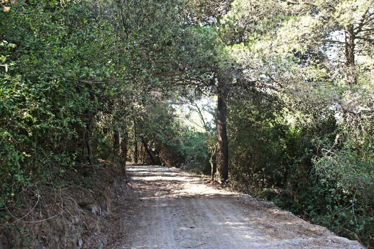 Casa Vacanze A Lea L'Ua フィナーレ・リーグレ エクステリア 写真